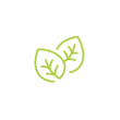 Vegan Friendly